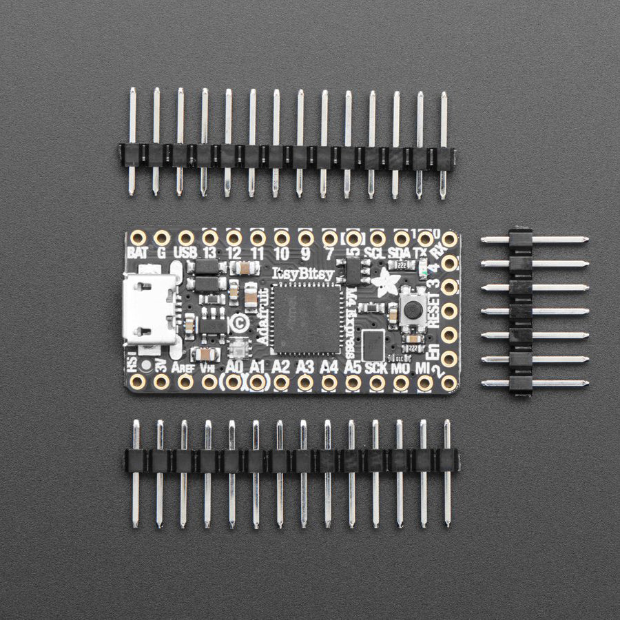 Adafruit ItsyBitsy M4 Express featuring ATSAMD51 - Image 2