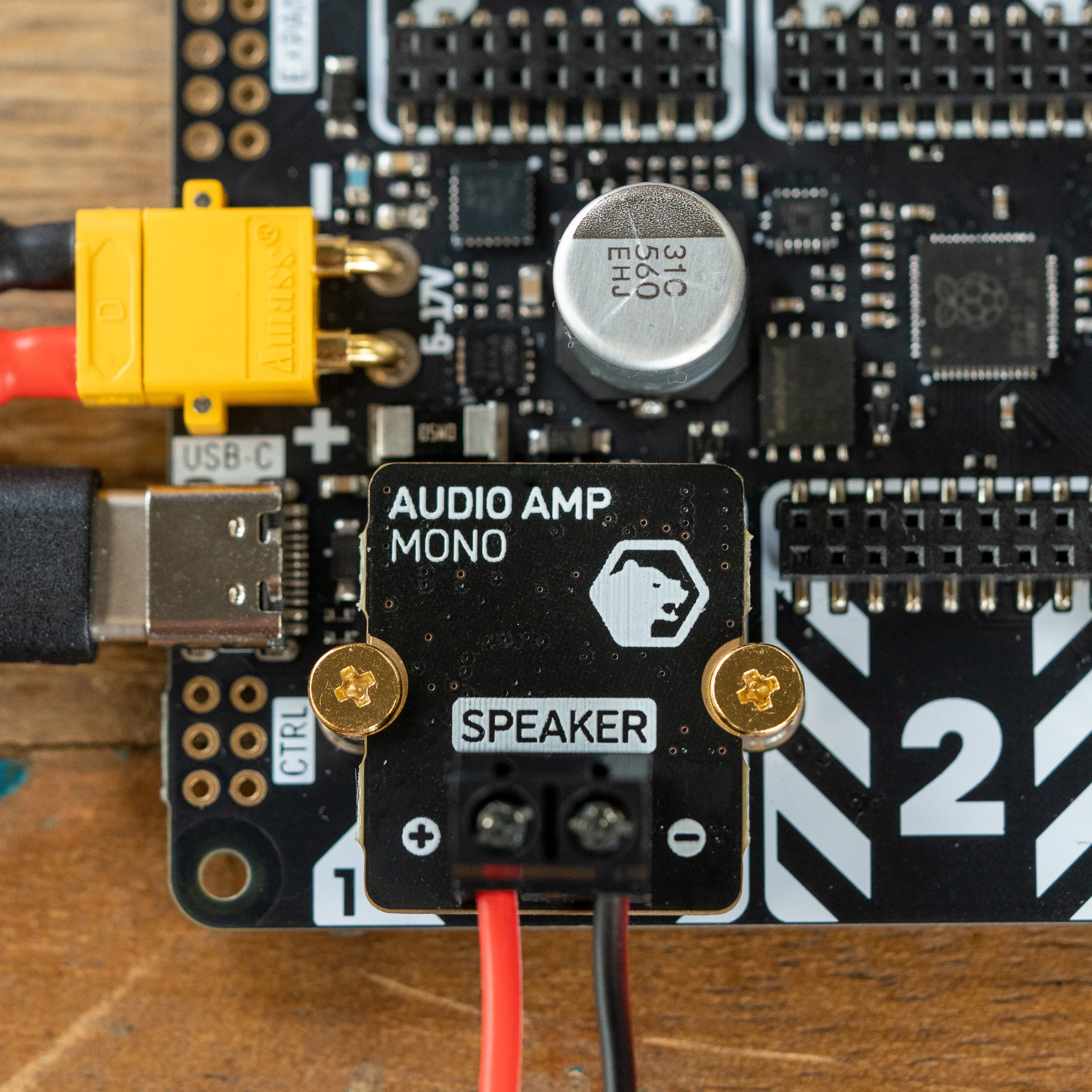 Audio Amp Module for Yukon (25W Mono Amp) - Image 5