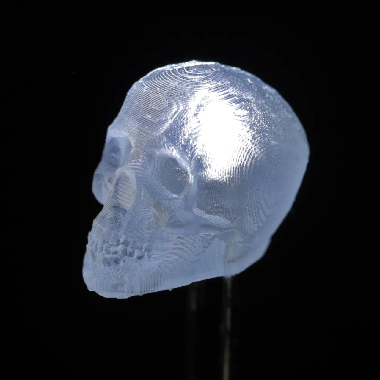 dLUX-dLITE LEDs - Image 3