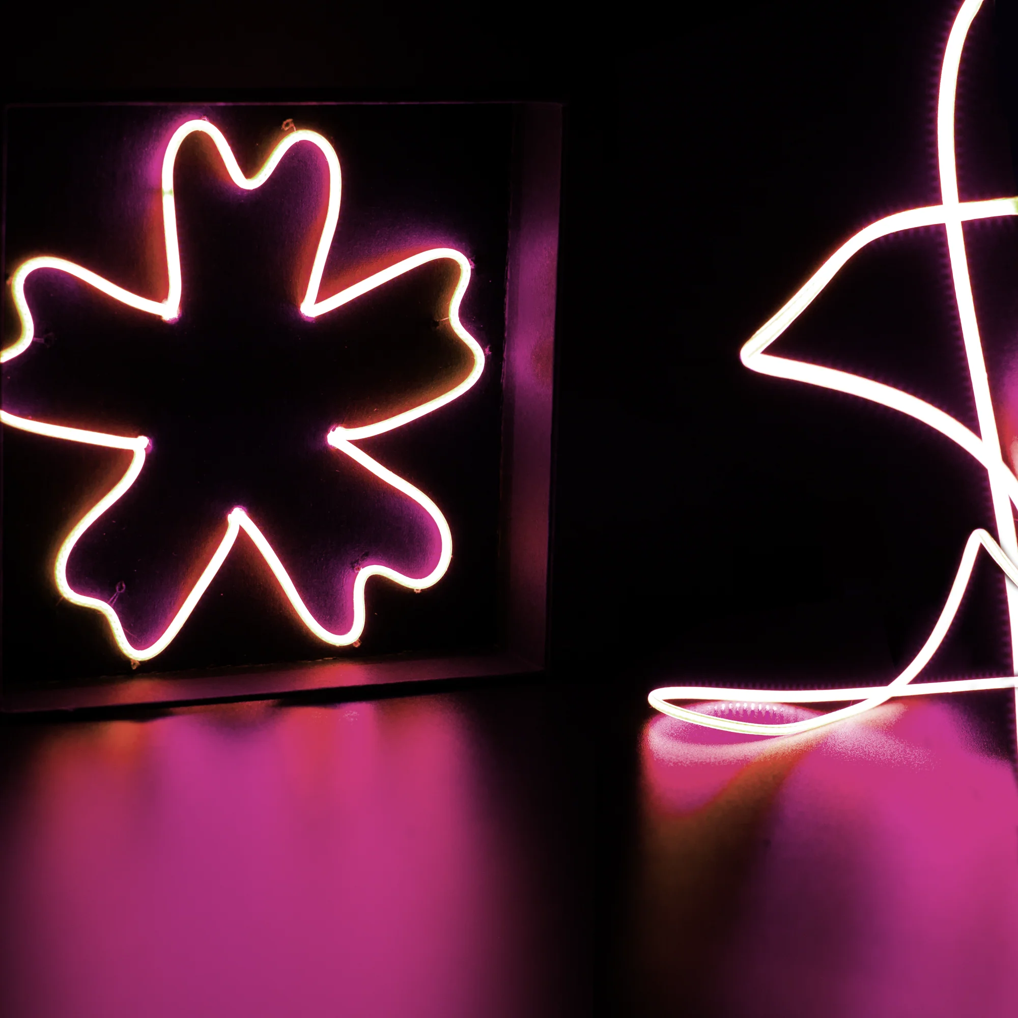 LED Noodles (5 x 300mm) - Image 11