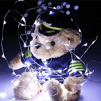 5m Micro-LED Wire (50 cool white LEDs) - Image 2
