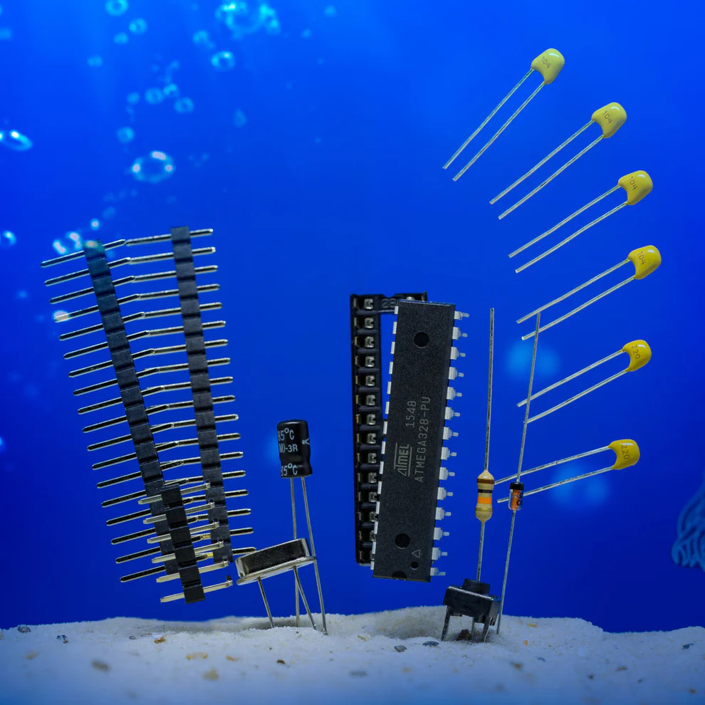The Cuttle - Image 6