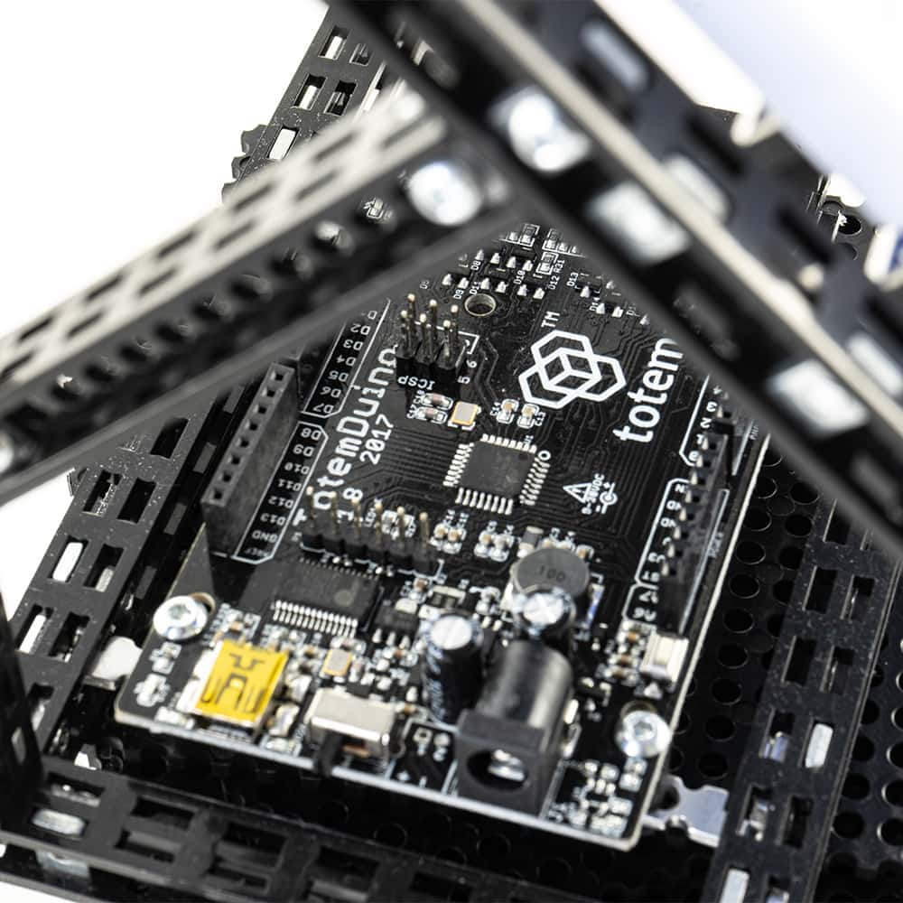 TotemDuino - Image 2